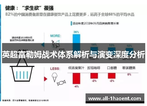 英超富勒姆战术体系解析与演变深度分析 英超富勒姆战术体系解析与演变深度分析