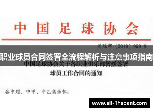 职业球员合同签署全流程解析与注意事项指南