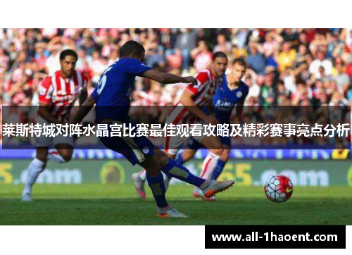 莱斯特城对阵水晶宫比赛最佳观看攻略及精彩赛事亮点分析 莱斯特城对阵水晶宫比赛最佳观看攻略及精彩赛事亮点分析
