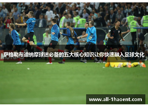 萨格勒布迪纳摩球迷必备的五大核心知识让你快速融入足球文化